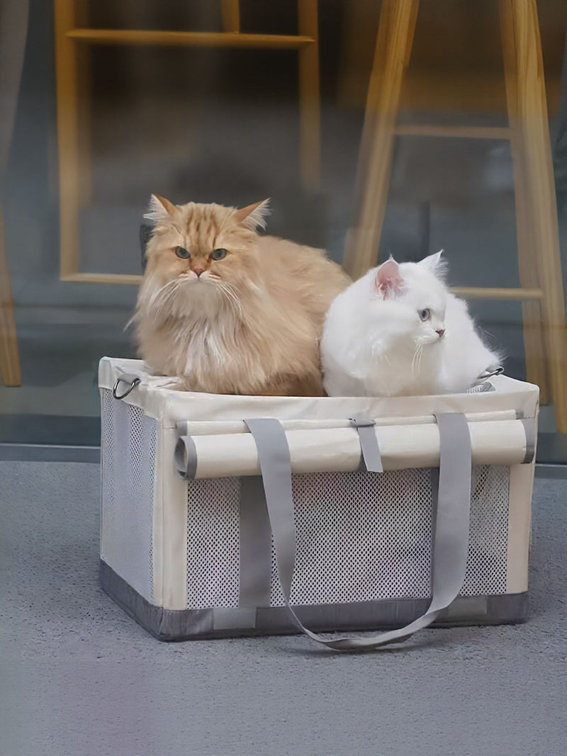 Carriers